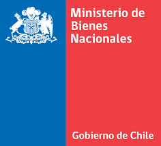 Raíces